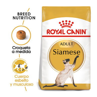 Royal Canin Adult Siamês ração para gatos